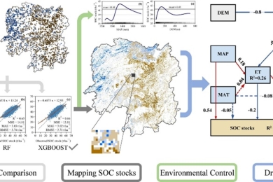 Cropland carbon stocks driven by soil characteristics, rainfall and elevation