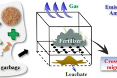 Unraveling the effect of added microbial inoculants on ammonia emissions during co-composting of kitchen waste and sawdu