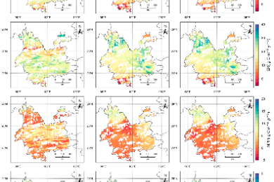 Evaluating carbon sink potential of forest ecosystems under different climate change scenarios in Yunnan, Southwest Chin