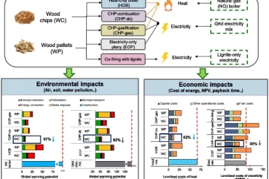 Energy from forest residues in Turkey: An environmental and economic life cycle assessment of different technologies