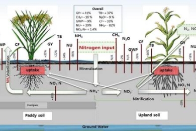 Subsurface fertilization boosts crop yields and lowers greenhouse gas emissions: A global meta-analysis