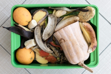 “The world needs to embrace a suite of solutions”: Divert on tackling food waste and climate change