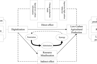 Digitalization, resource misallocation and low-carbon agricultural production: evidence from China