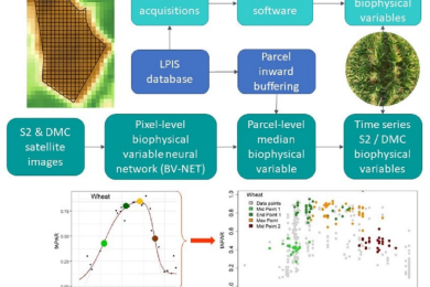 Crop phenology modelling using proximal and satellite sensor data