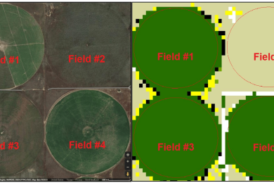 Going back to grassland? Assessing the impact of groundwater decline on irrigated agriculture using remote sensing data