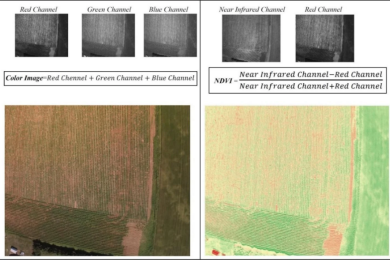 Red-green-blue to normalized difference vegetation index translation: a robust and inexpensive approach for vegetation monitoring using machine vision and generative adversarial networks