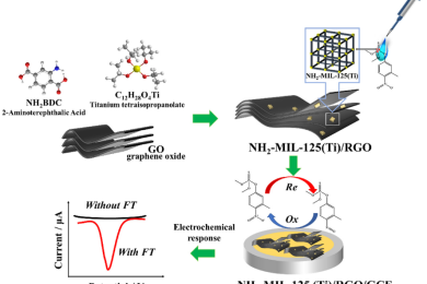 NH<sub>2</sub>-MIL-125(Ti)/Reduced graphene oxide enhanced electrochemical detection of fenitrothion in agricultural products