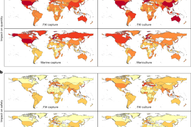 The Fragile Future of Our Global 'Blue' Food Supply