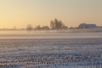 CAP support crucial to maintain farming in areas with natural constraints, shows latest study