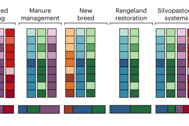 Priority areas for investment in more sustainable and climate-resilient livestock systems