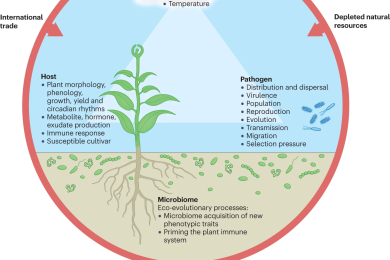 Climate Change, Plant Pathogens, and Food Security: Navigating the Future