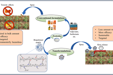 Nanotechnology in Pest Management for Sustainable Agriculture