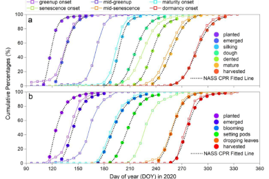 Creating a Practical Algorithm for Real-Time Monitoring of Crop Growth Using Combined Satellite Data