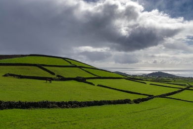 Ireland’ Department of Agriculture, Food and the Marine – Open Data