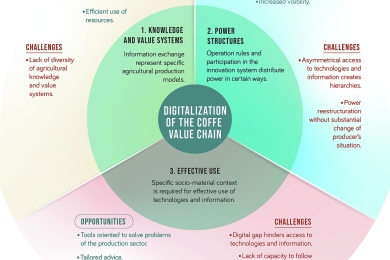 Digitalization, sustainability, and coffee. Opportunities and challenges for agricultural development