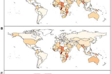 How good is the data for tracking countries' agricultural greenhouse gas emissions? Making use of multiple national greenhouse gas inventories