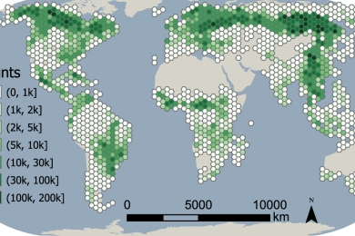 Mapping global forest regeneration-an untapped potential to mitigate climate change and biodiversity loss