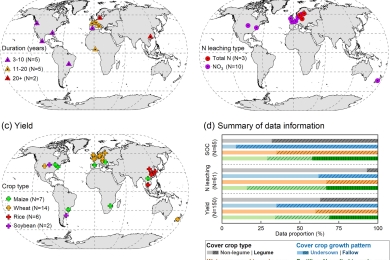 Estimating the global influence of cover crops on ecosystem service indicators in croplands with the LPJ-GUESS model