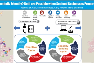 Resilient or environmentally friendly? Both are possible when seafood businesses prepare for long-term risks