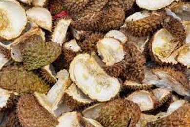 From waste to wealth: a review on valorisation of durian waste as functional food ingredient