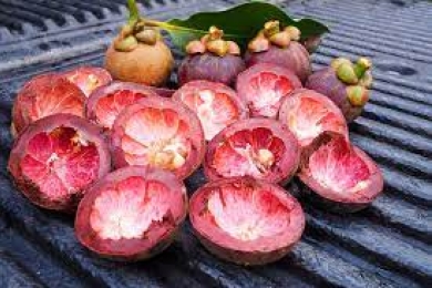 Mangosteen Peel Extract as a Dietary Immunostimulant for Prawns: Growth and Immune Regulation