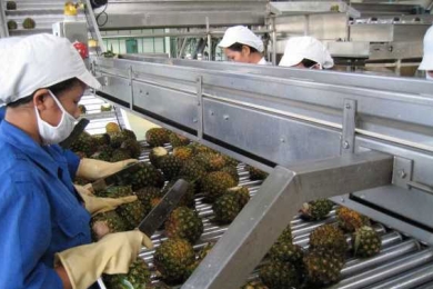 A comprehensive review of pineapple processing and its by-product valorization in India