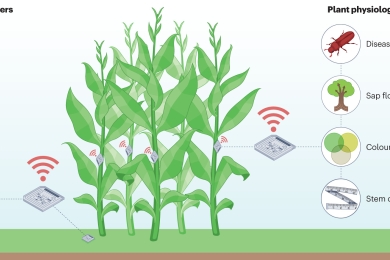 Internet of Plants: Revolutionizing Agriculture with Sensor Networks