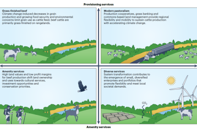 Future of US Rangelands: A Scenario Assessment of Ecosystem Services