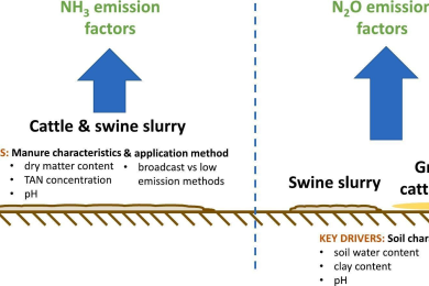 Unlocking the Drivers of Ammonia and Nitrous Oxide Emissions from Livestock and Manure Management