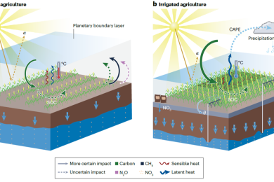 Irrigation Impacts on the Earth System: A Comprehensive Review