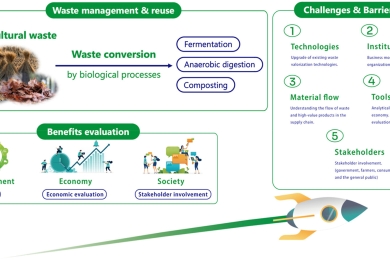 Transitioning Agriculture to a Circular Economy: Challenges and Opportunities in Waste Recovery