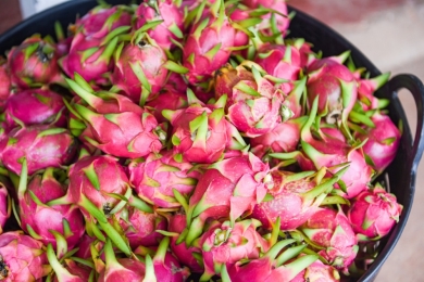 Shrinking Chinese exports halve dragon fruit prices