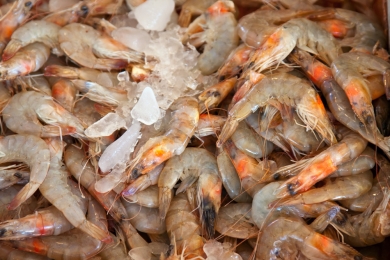 Digital supply chain traceability for ASC-certified shrimp