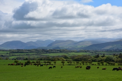 National Agricultural Innovation Agenda and Policy Statement (Australia)