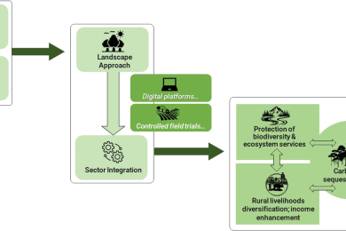 Sustainable pathways toward reimagining India’s agricultural systems