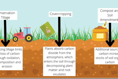 Farmer perspectives on carbon markets incentivizing agricultural soil carbon sequestration
