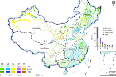 Loss of Natural Capital due to Expansion of Cropland in China