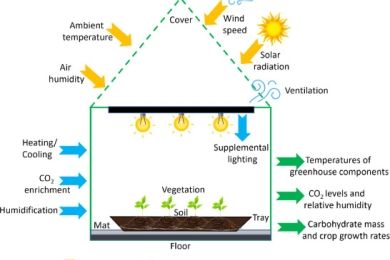 Enhancing Energy Efficiency of Greenhouses using AI-based Climate Control
