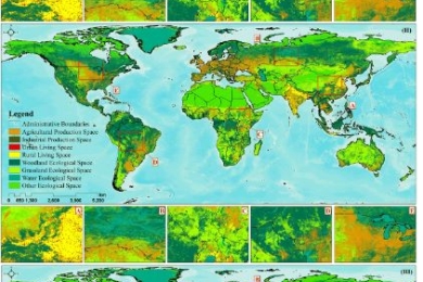 Spatial–temporal Distribution of Global Production–Living–Ecological Space 2000–2020