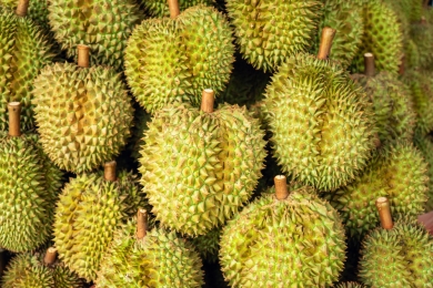 Japan destroys five tons of durian, chili from Vietnam
