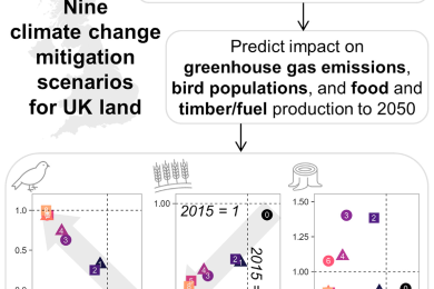 Spatially targeted and systematic nature-based solutions can mitigate climate change and nature loss