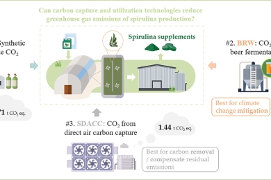 Capturing carbon from beer fermentation and air in spirulina production