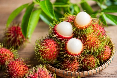 Phytochemical and pharmacological properties of rambutan (<span style="font-style:italic;">Nappecium lappaceum</span> L.) and its industrial usage: A mini review