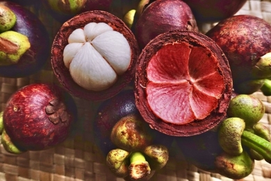 The potential of mangosteen peel as a biosorbent: A review