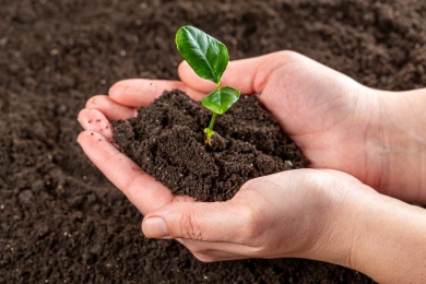 World Soil Day, 5 December