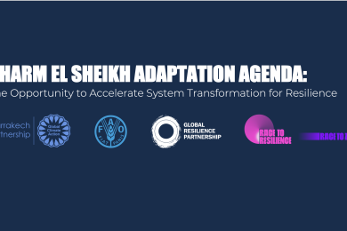 Sharm El Sheikh Adaptation Agenda: Progress report
