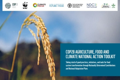 COP28 agriculture, food and climate national action toolkit
