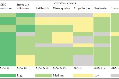 Financing climate change mitigation in agriculture: assessment of investment cases