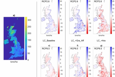 Terrestrial carbon sequestration under future climate, nutrient and land use change and management scenarios: a national-scale UK case study