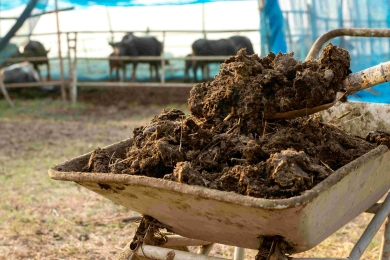 Taiwan Minisitry of Agricultura promotes organic fertilizer for soil carbon sequestration (In Chinese)